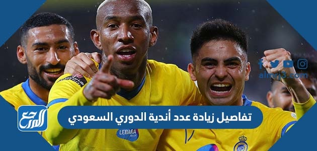 تفاصيل زيادة عدد أندية الدوري السعودي