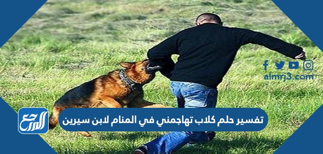 تفسير حلم كلاب تهاجمني في المنام لابن سيرين