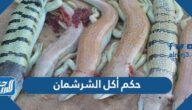 حكم أكل الشرشمان