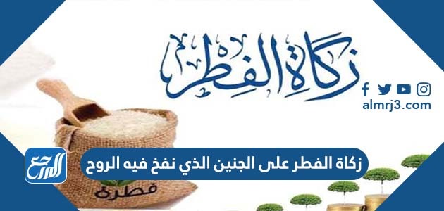 زكاة الفطر على الجنين الذي نفخ فيه الروح