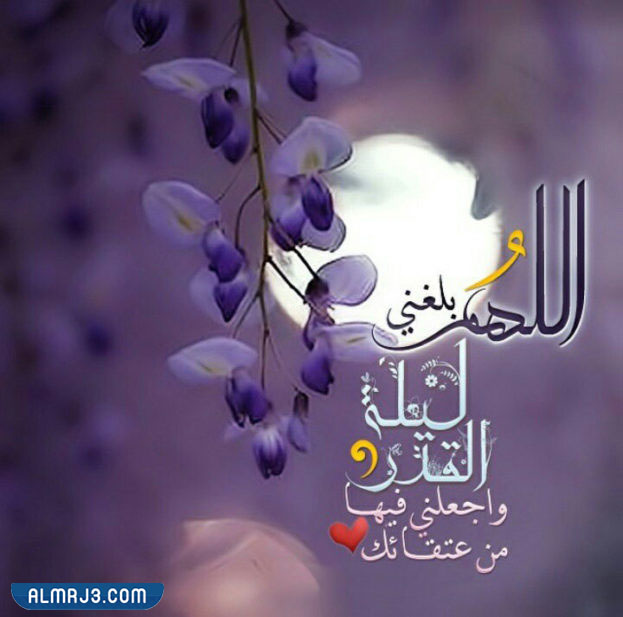 صور صلاة الليل الأول من العشر الأواخر من رمضان