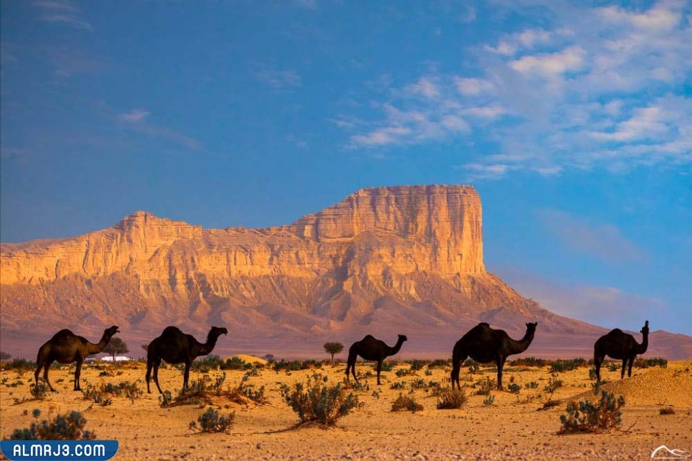 صور جبل طويق