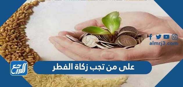 على من تجب زكاة الفطر