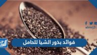 فوائد بذور الشيا للحامل فوائد بذور الشيا للحامل