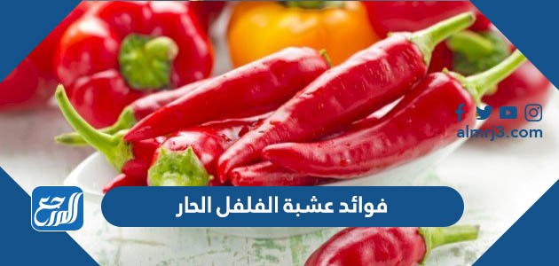 فوائد عشبة الفلفل الحار