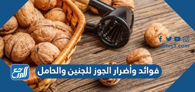 فوائد وأضرار الجوز للجنين والحامل