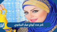 كم عدد أزواج ميار الببلاوي