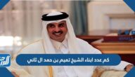 كم عدد ابناء الشيخ تميم بن حمد ال ثاني