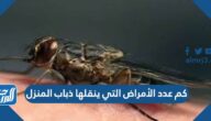 كم عدد الأمراض التي ينقلها ذباب المنزل