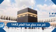 كم عدد حجاج هذا العام 1443 الحجاج كم عددهم 2022