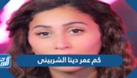 كم عمر دينا الشربينى
