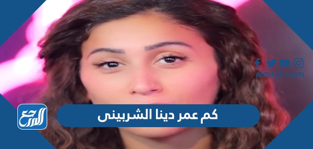 كم عمر دينا الشربينى
