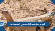 كم غرامة صيد الضب في السعودية