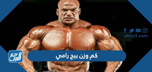 كم وزن بيج رامي