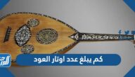 كم يبلغ عدد اوتار العود
