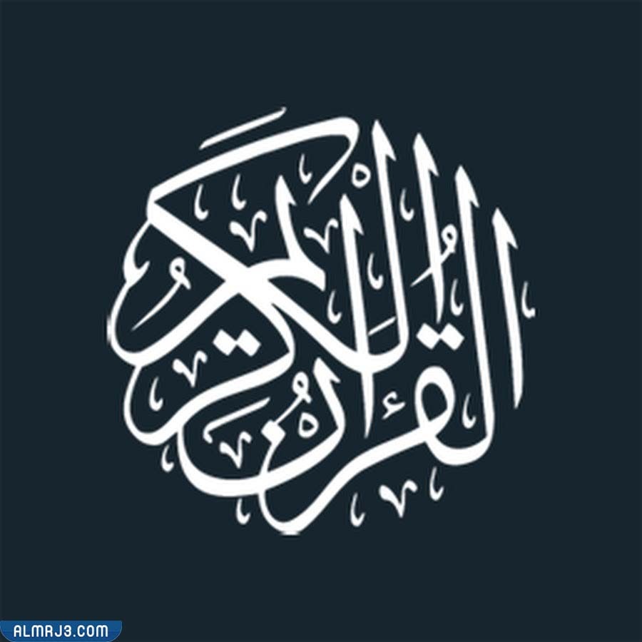 ما اسم السورة التي تحتوي كل آية من آياتها لفظ الجلالة؟