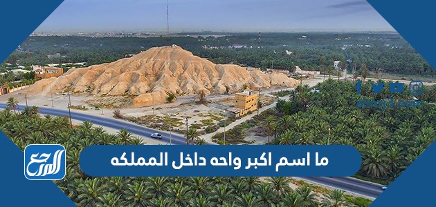 ما اسم اكبر واحه داخل المملكه