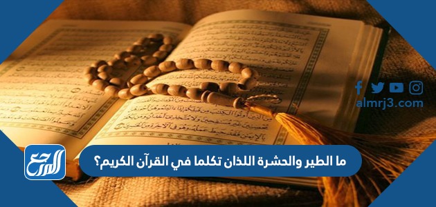 ما الطير والحشرة اللذان تكلما في القرآن الكريم؟