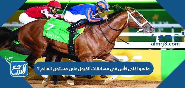 ما هو اغلى كأس في مسابقات الخيول على مستوى العالم ؟