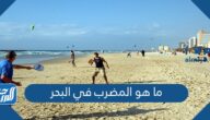 ما هو المضرب في البحر