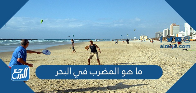 ما هو المضرب في البحر