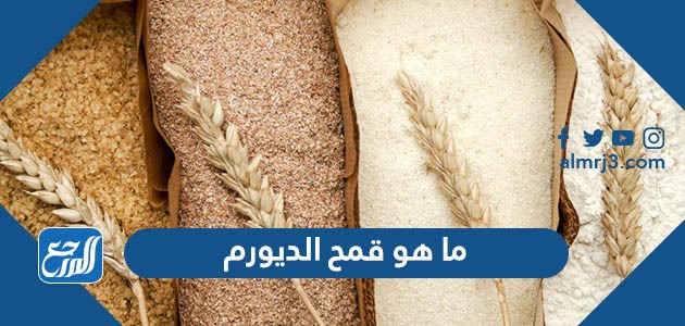 ما هو قمح الديورم 