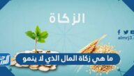 ما هي زكاة المال الذي لا ينمو