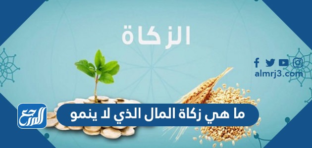 ما هي زكاة المال الذي لا ينمو