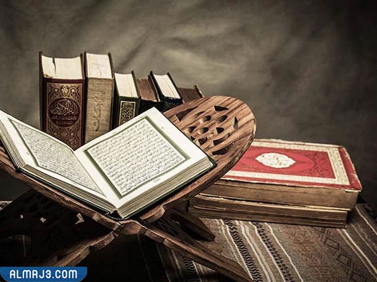 يجوز المصحف وضوء بدون قراءة من هل القرآن قراءة القرآن