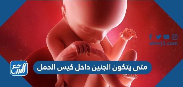 متى يتكون الجنين داخل كيس الحمل