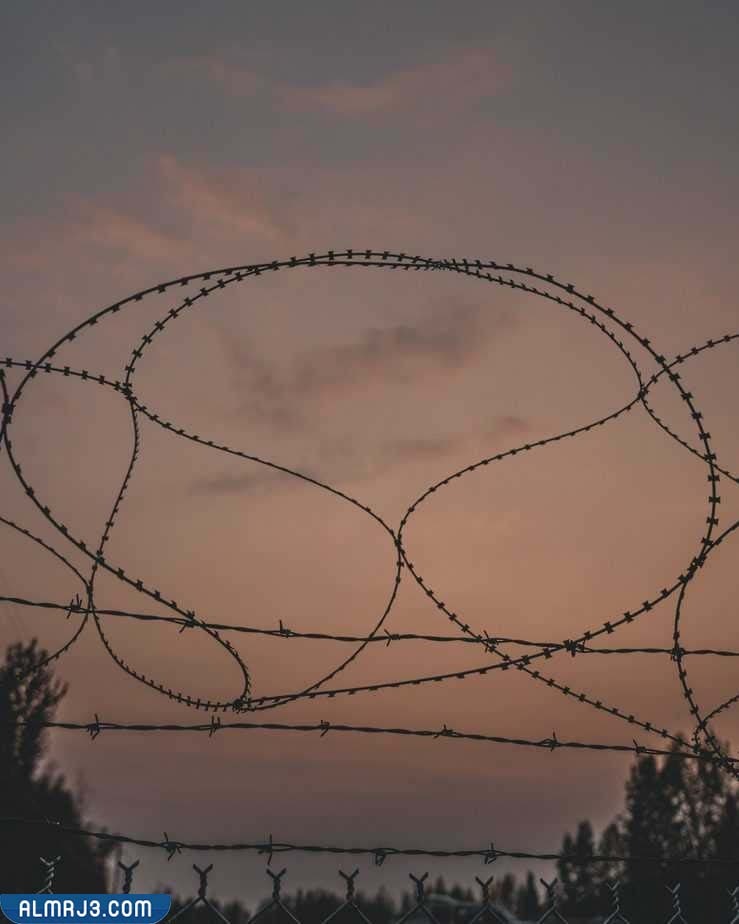 مما يتكون جدار برلين