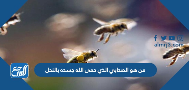 من هو الصحابي الذي حمى الله جسده بالنحل