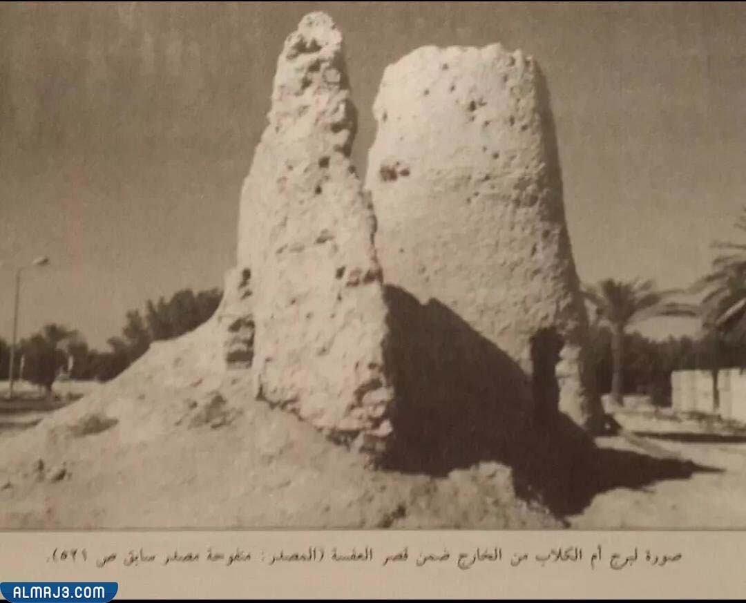 نسب الجلاليل