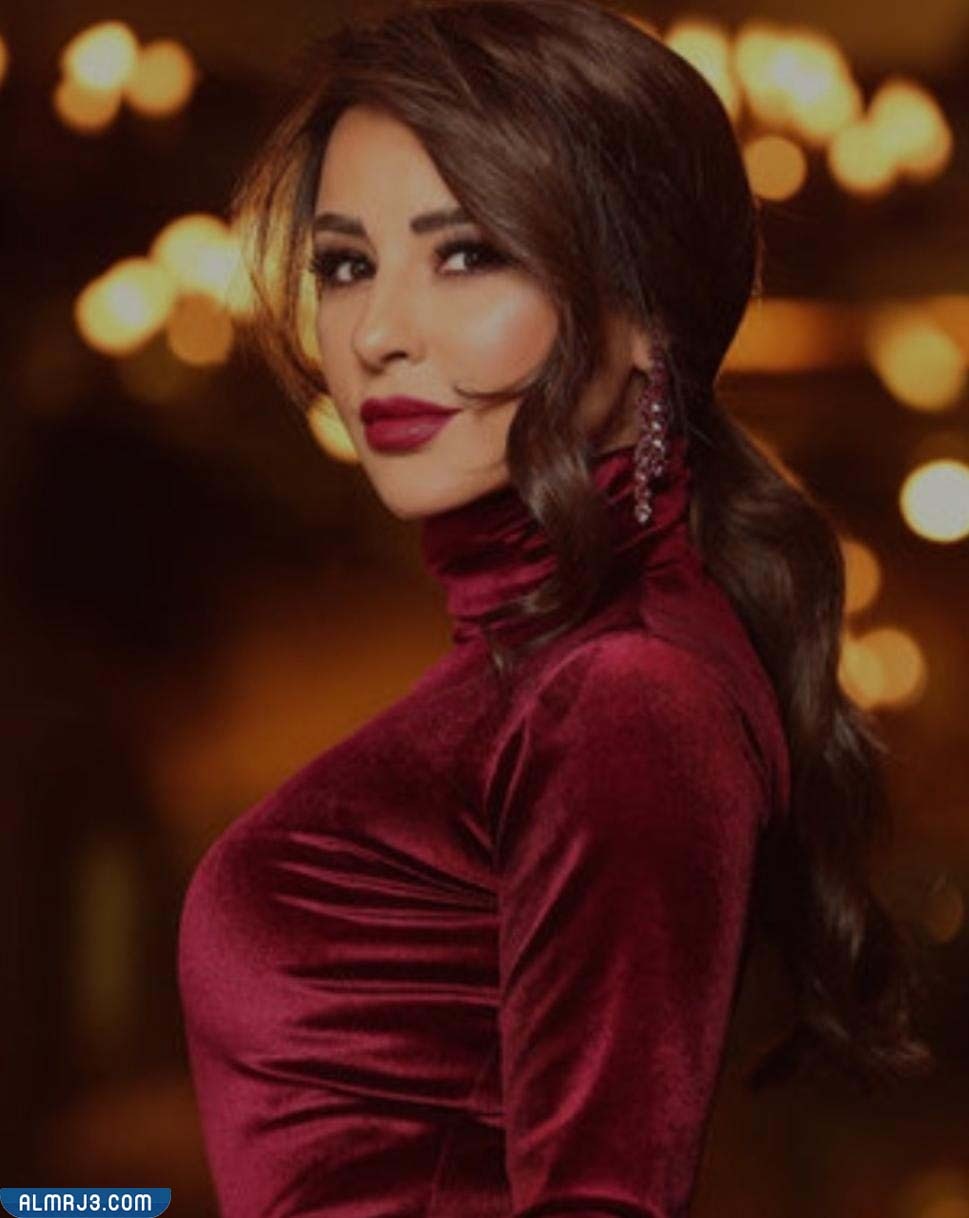 من هو زوج ماغي بو غصن ويكيبيديا