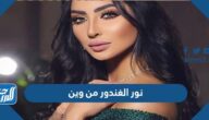 نور الغندور من وين