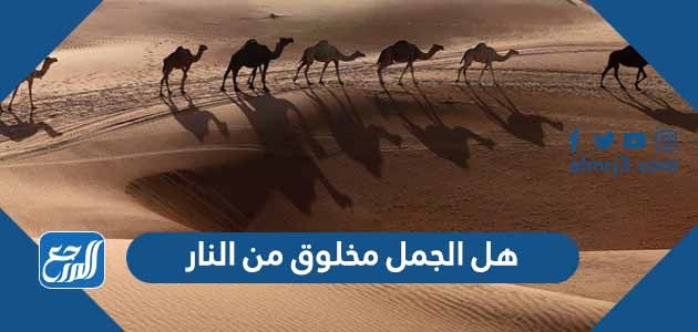 هل الجمل مخلوق من النار