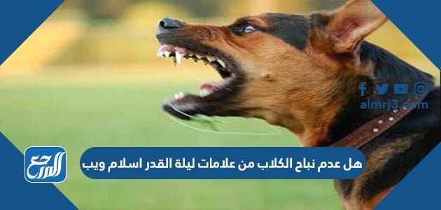 هل عدم نباح الكلاب من علامات ليلة القدر اسلام ويب