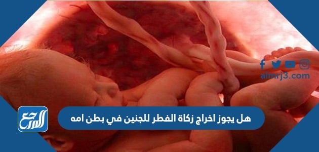 هل يجوز اخراج زكاة الفطر للجنين في بطن امه