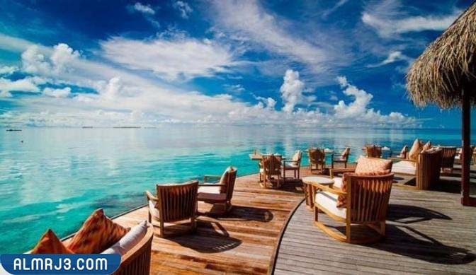 أفضل الأنشطة الترفيهية عند السياحة في جزر المالديف