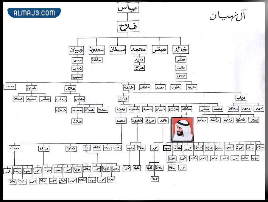 شجرة عائلة آل نهيان بالصور