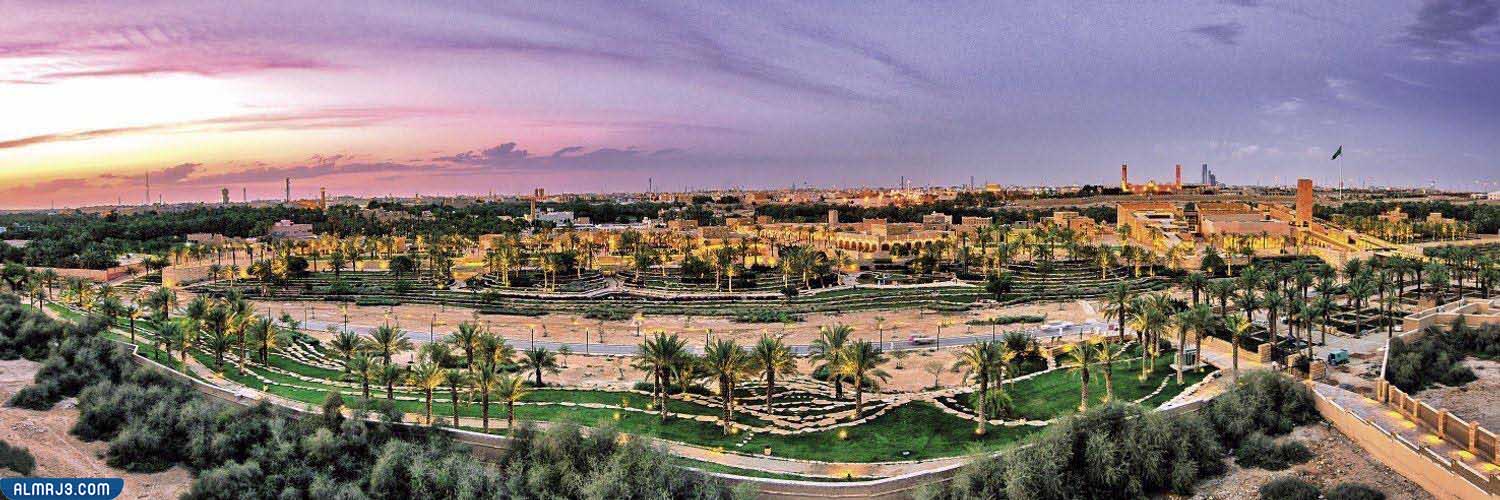 صور مدينة الرياض الخضراء ذات جودة عالية