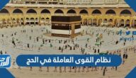تفاصيل نظام القوى العاملة في الحج 2022