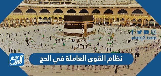 تفاصيل نظام القوى العاملة في الحج 2022