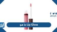 Lip Gloss ما هو