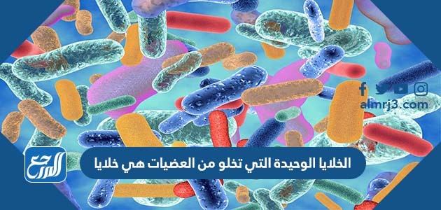 الخلايا الوحيدة التي تخلو من العضيات هي خلايا