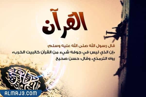 أجمل كلمات لحافظ القرآن