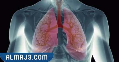 أسباب الإصابة ببرد القفص الصدري