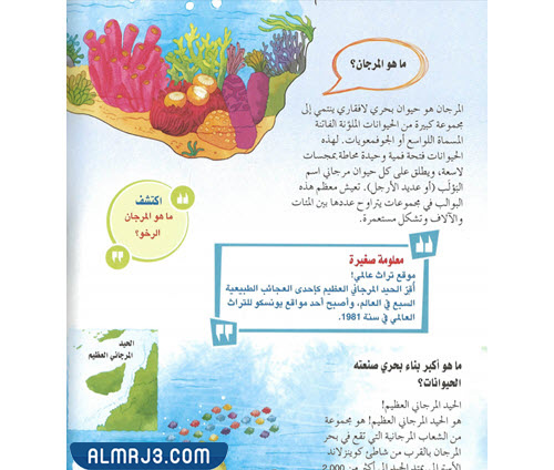 أفكار مطويات عن المحيطات جاهزة للطباعة