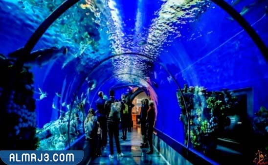 أكواريوم أنطاليا