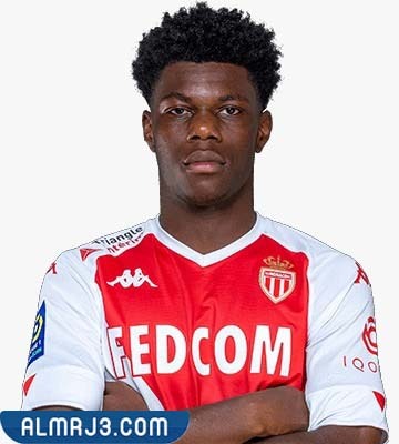 أوريلين تشواميني السيرة الذاتية